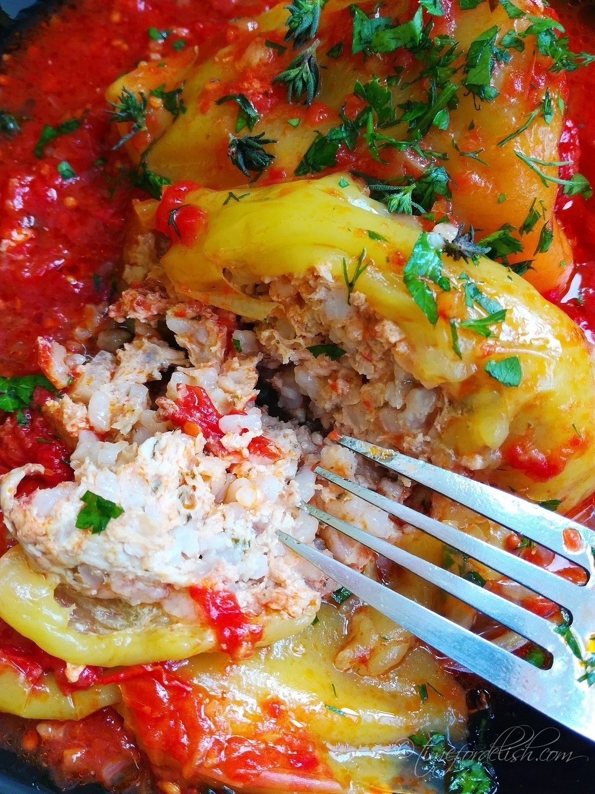 stuffed peppers tomato sauce